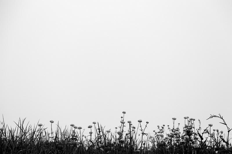 2018_06_08_Haute Savoie  (0017_bnw).jpg - La montagne de Sullens (Juin 2018)